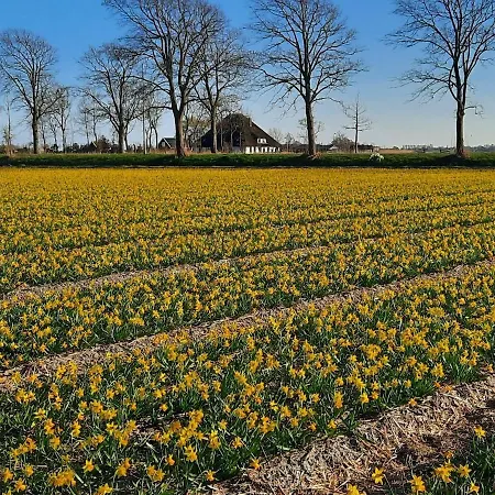 Spacious And Sustainable In With Large Garden Heiloo