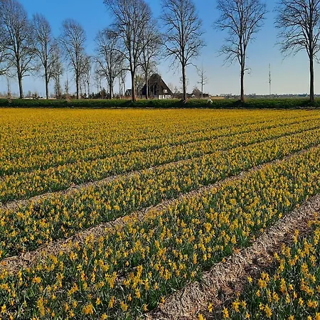 Spacious De Pauwenhof Heiloo