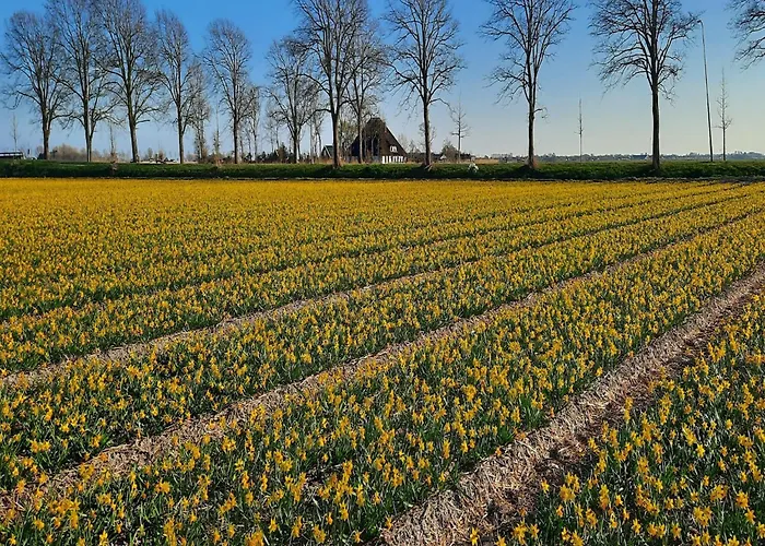 Spacious De Pauwenhof Хейло